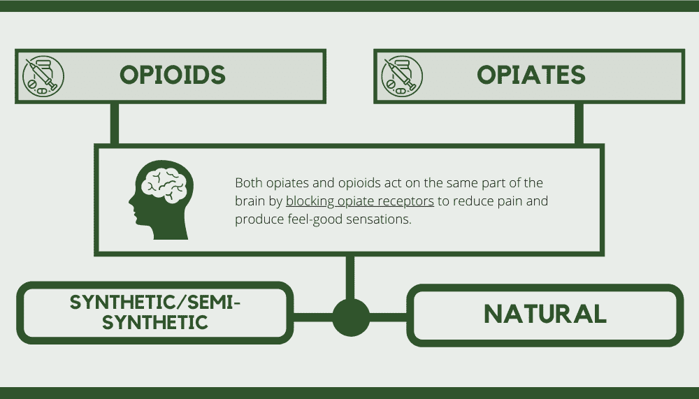 Difference between Opioids and Opiates